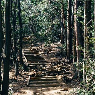 合金战姬手游下载